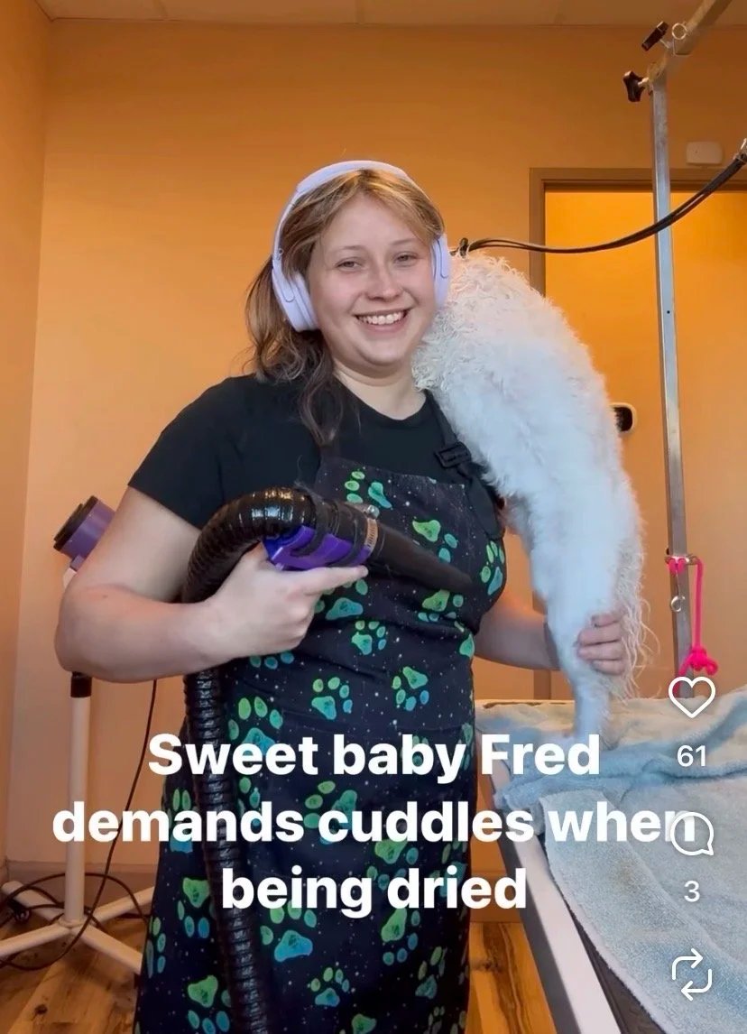 Kayla grooming